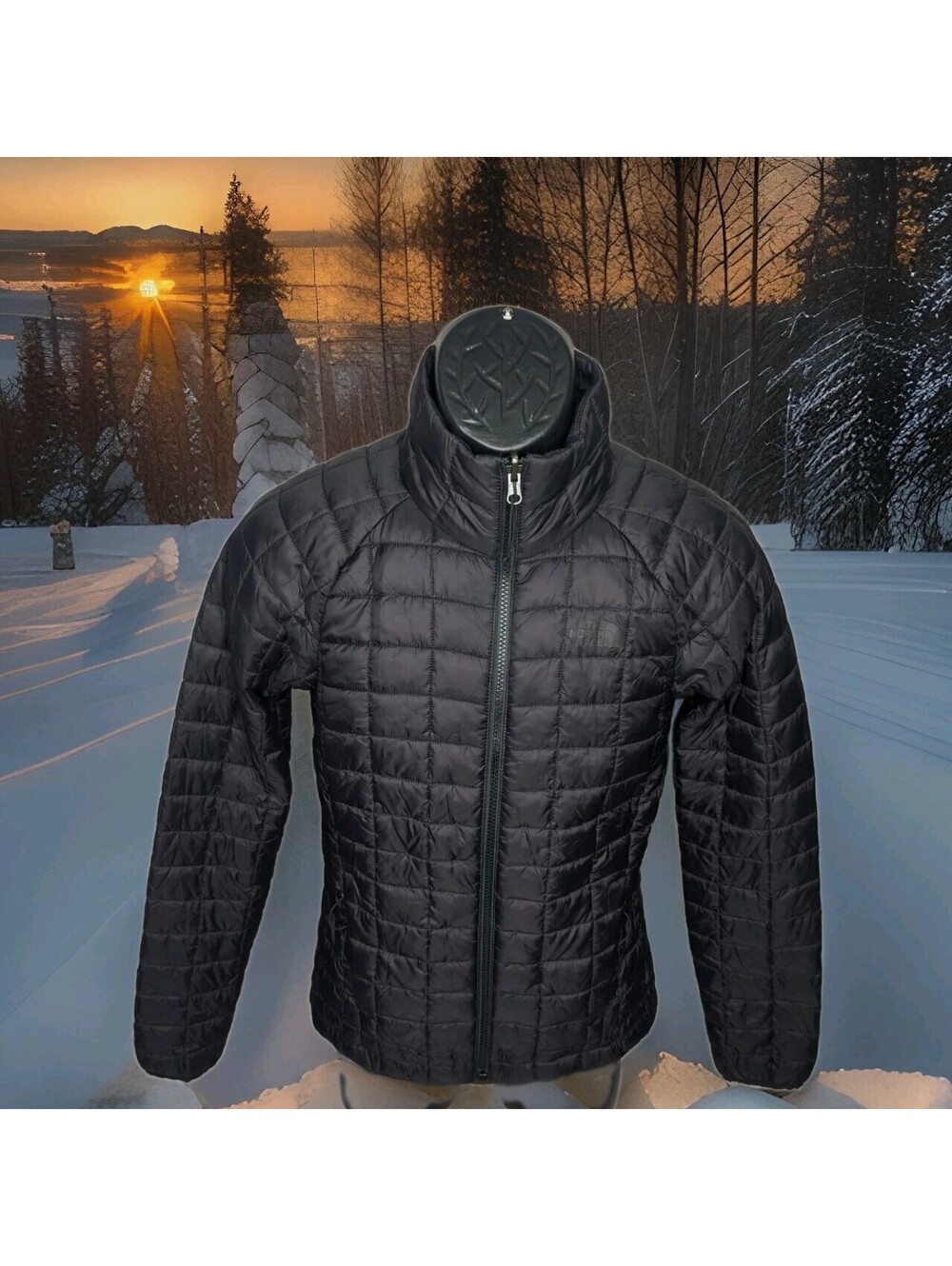 The North Face Thermoball Eco Puffer Jacket Winter Coat Quilted Women XS X-Small